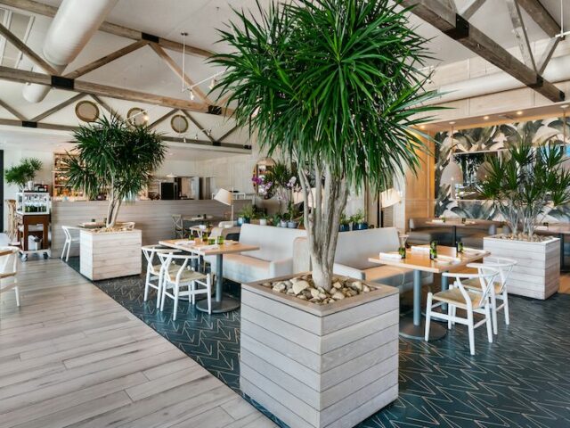 The Best Midtown and Edgewater Restaurants